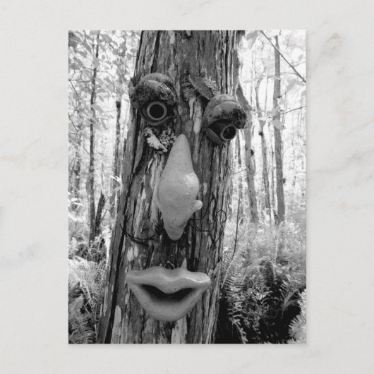 Baumtroll auf einem Big Cypress-Baum. Postkarte (Vorderseite)