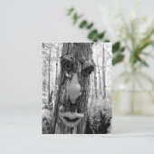 Baumtroll auf einem Big Cypress-Baum. Postkarte (Stehend Vorderseite)