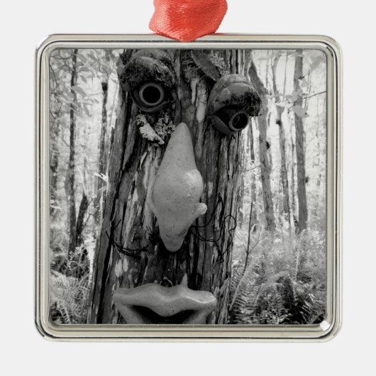 Baumtroll auf einem Big Cypress-Baum. Silbernes Ornament (Vorne)