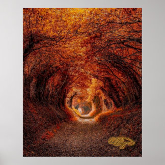 Baumtunnel - Ein Licht am Ende des Tunnels Poster