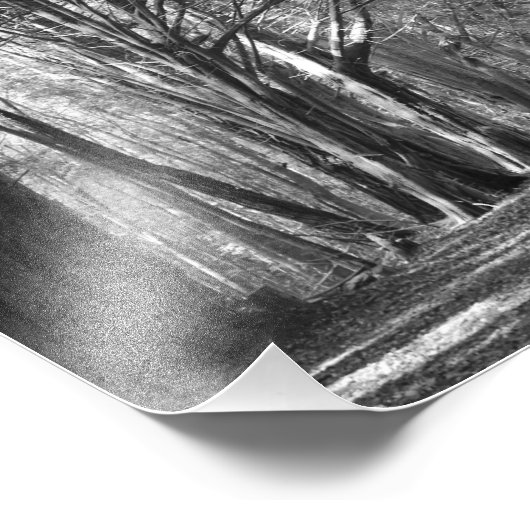 Baumtunnel Fotodruck (Ecke)