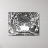 Baumtunnel Kauai Fotografie Schwarz und Weiß Leinwanddruck (Vorderseite)
