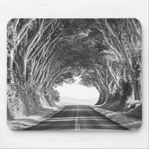 Baumtunnel Kauai Fotografie Schwarzweiß Mousepad
