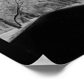 Baumtunnel Poster (Ecke)