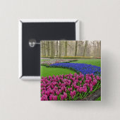 Baumuster für Reben, Tulpen und 2 Button (Vorne & Hinten)