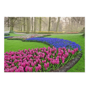 Baumuster für Reben, Tulpen und 2 Fotodruck