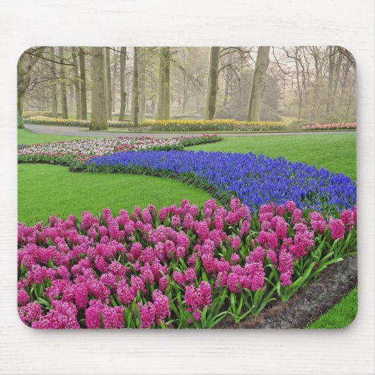 Baumuster für Reben, Tulpen und 2 Mousepad (Vorne)