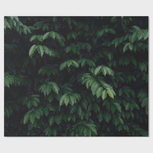 BAUMUSTER GESCHENKPAPIER (Flach)