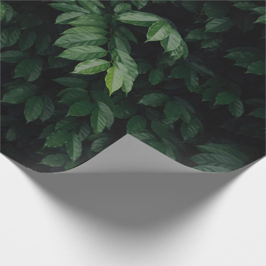 BAUMUSTER GESCHENKPAPIER (Ecke)