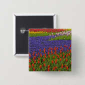 Baumuster von Tulpen und Blume von Traubentrester, Button (Vorne & Hinten)