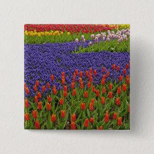 Baumuster von Tulpen und Blume von Traubentrester, Button