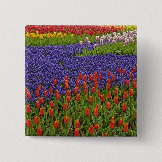 Baumuster von Tulpen und Blume von Traubentrester, Button (Vorderseite)