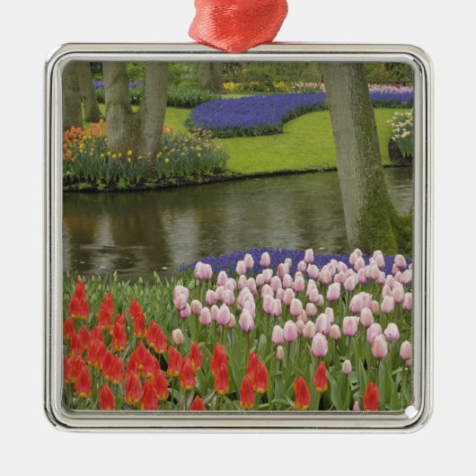 Baumuster von Tulpen und Blume von Traubentrester, Silbernes Ornament (Vorne)