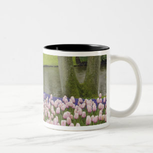 Baumuster von Tulpen und Blume von Traubentrester, Zweifarbige Tasse