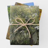 Baumverpackungspapier Geschenkpapier Set (Beispiel)