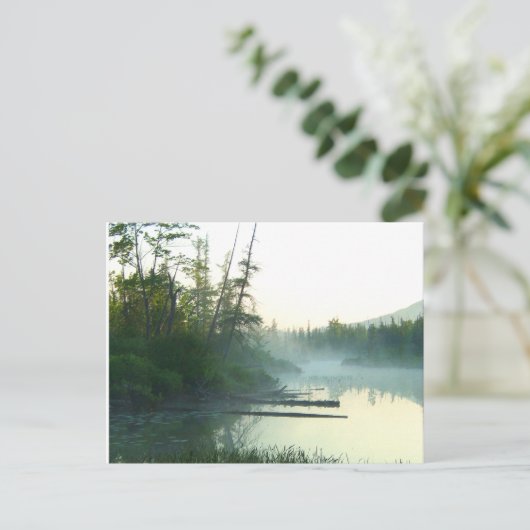 Baumwassermarsche Landschaft Postkarte (Stehend Vorderseite)