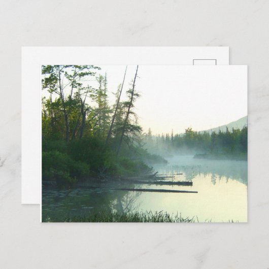 Baumwassermarsche Landschaft Postkarte (Vorne/Hinten)