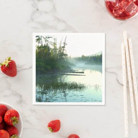 Baumwassermarsche Landschaft Serviette (Beispiel)