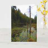 Baumwassersumpferlandschaft Karte (Gelbe Blume)