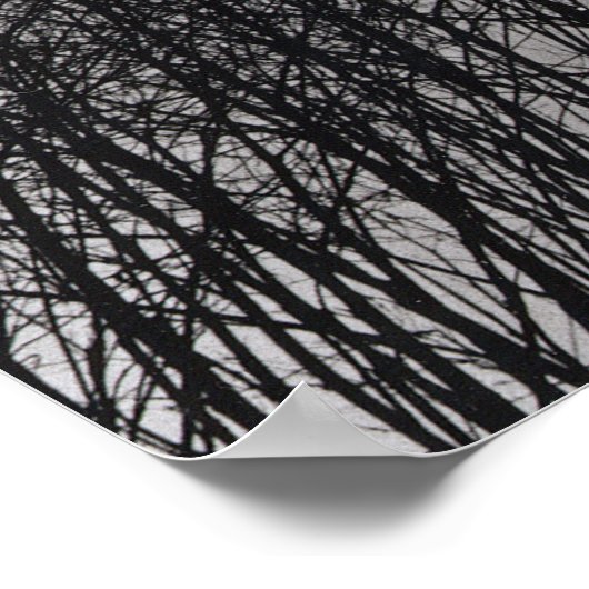 Baumwipfel Poster (Ecke)