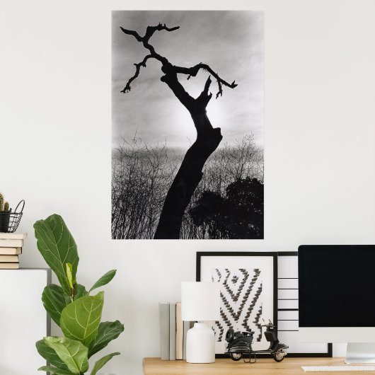 Baumwipfel Poster (Heimbüro)