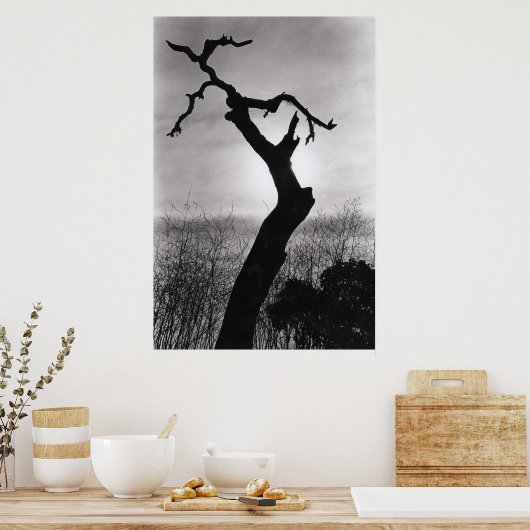 Baumwipfel Poster (Küche)