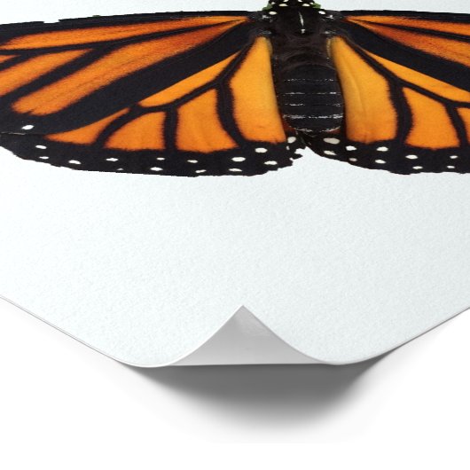 BAUMWOHNFAIRIEN UND SCHALTFLÄCHEN POSTER (Ecke)