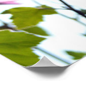 Baumwoll-Blüten im Sommer Poster (Ecke)