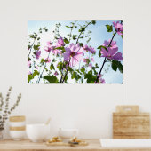Baumwoll-Blüten im Sommer Poster (Küche)