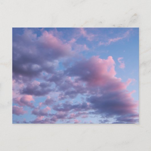 Baumwoll Zucker Sonnenuntergang Postkarte (Vorderseite)