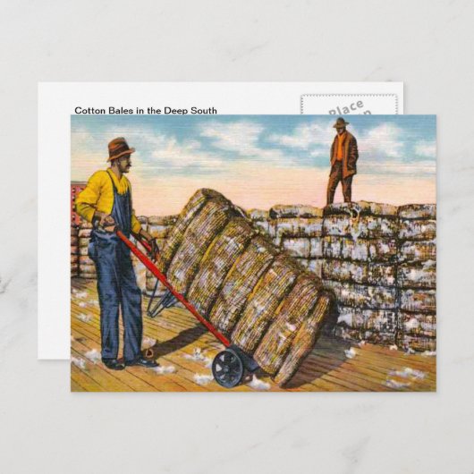Baumwollbälle in den südlichen Tiefen der 1920er J Postkarte (Vorne/Hinten)