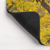 Baumwollbaum in den Herbstfarben des Gletschers Mousepad (Ecke)
