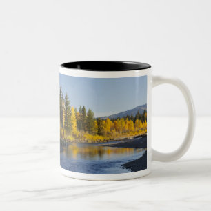 Baumwollbäume spiegeln sich in Pacific Creek Zweifarbige Tasse