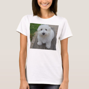 Baumwollde tulear auf Bank T-Shirt