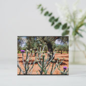 Baumwolldistel im Olivenhain Postkarte (Stehend Vorderseite)
