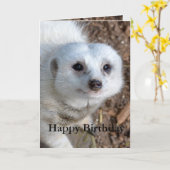 Baumwolle Das weiße Meerkat, Geburtstag Karte (Gelbe Blume)