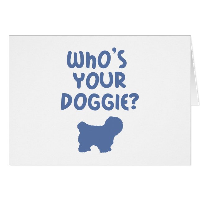 Baumwolle de Tulear (Vorderseite (Horizontal))