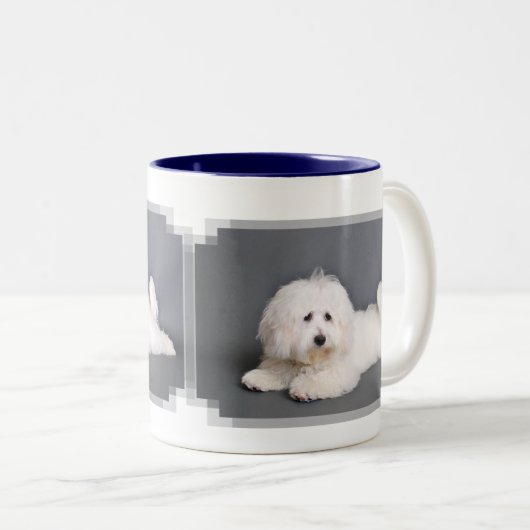 Baumwolle de Tulear - Joci Zweifarbige Tasse (VorderseiteRechts)