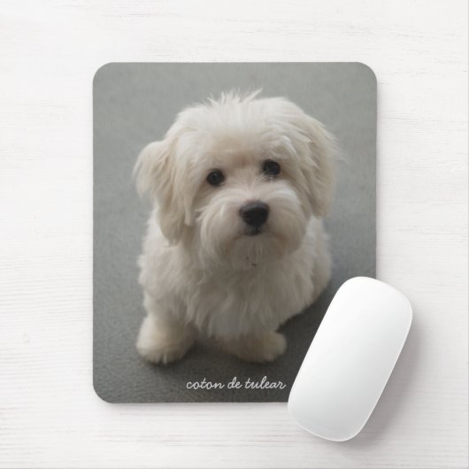 Baumwolle de Tulear Mousepad (Mit Mouse)