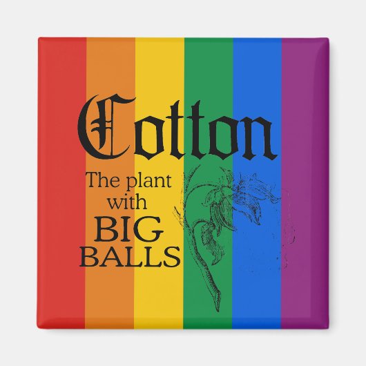 BAUMWOLLE: DIE PFLANZE MIT GROSSEN BALLEN MAGNET (Vorne)