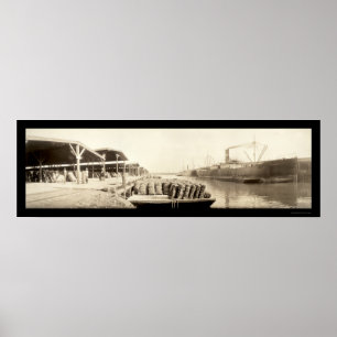 Baumwolle im Savannah Foto 1909 Poster