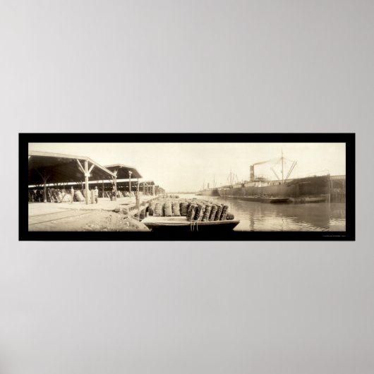 Baumwolle im Savannah Foto 1909 Poster (Vorne)
