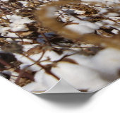 Baumwolle, Land, Bauernhof, Farbe Poster (Ecke)