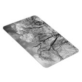 Baumwolle Magnet (Rechte Seite)