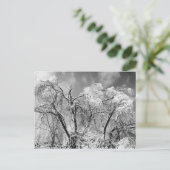 Baumwolle Postkarte (Stehend Vorderseite)