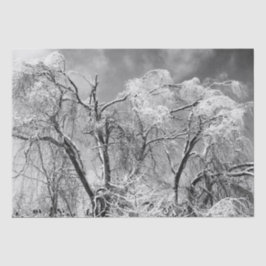 Baumwolle Seidenpapier