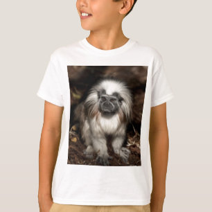 Baumwolle-Spitze Tamarin T-Shirt