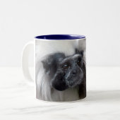 Baumwolle-Spitze Tamarin Zweifarbige Tasse (Vorderseite Links)