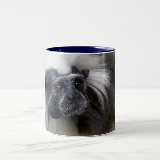 Baumwolle-Spitze Tamarin Zweifarbige Tasse (Mittel)