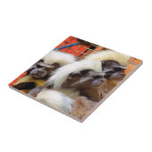 BAUMWOLLE - TOP TAMARIN MONKEYS FLIESE (Seite)